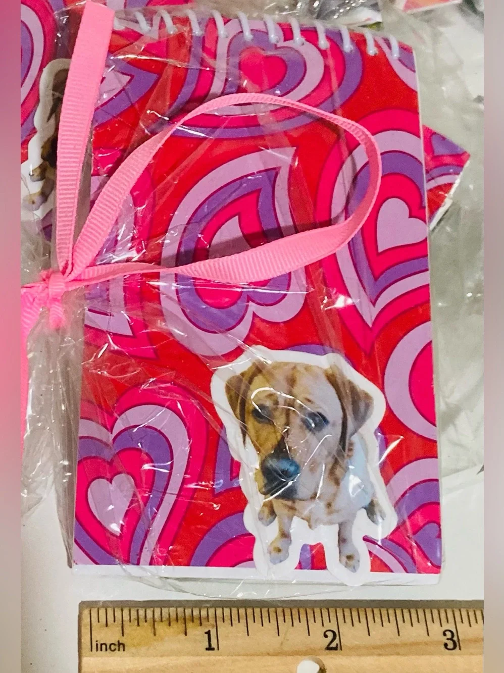 12 Party Bags: Multicolor 3” x 5” Mini Notebooks & Crayola 8pk Colored Pencils